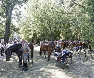 Tłumy na defiladzie wojskowej w Warszawie