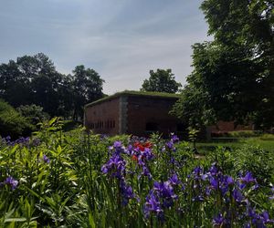 Park Miejski w Zamościu