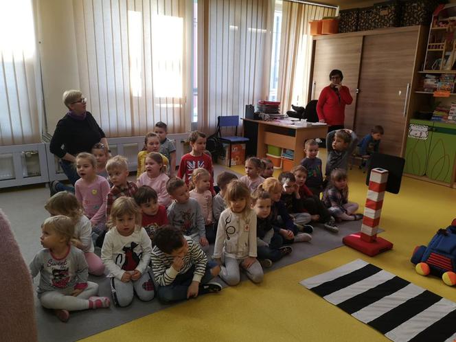 Zebra uczy dzieci przechodzić przez... zebrę