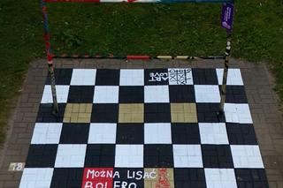 Wrocław ma krasnale, a Olsztyn… kolorowe trzepaki? Niezwykła inicjatywa ma zachęcać do spotkań