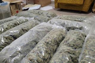 Wartość towaru to ponad 3 miliony złotych