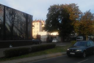 Leśny mural we Wrocławiu