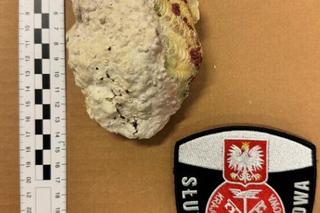 Przywiozła sobie piękną pamiątkę z Egiptu