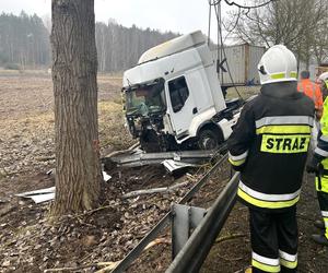 Nietrzeźwy kierowca Tira uderzył w drzewo na DK11 