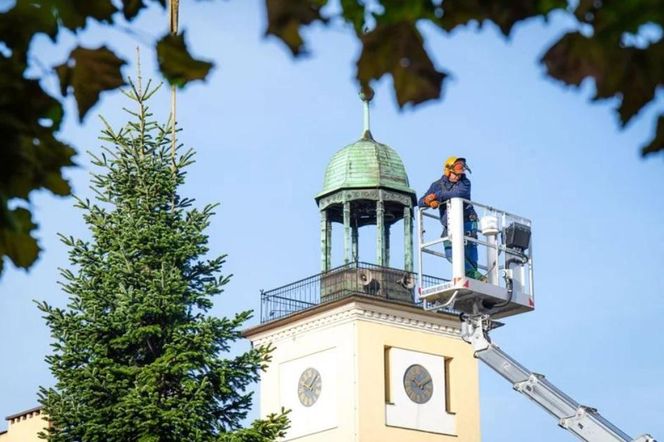 Rybnik stroi się na święta. Pojawią się nowości