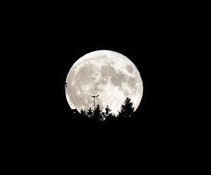 Wyjątkowa pełnia księżyca. Zdjęcia Księżyca Żniewiarzy z Białki Tatrzańskiej zapierają dech w piersiach