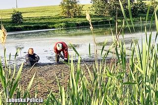 Lubuskie: Pod wodę wciągało go głębokie błoto. Pomoc nadeszła w ostatniej chwili