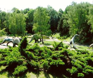 Park dinozaurów w zoo