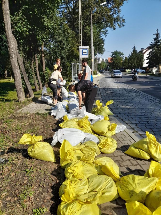 Wrocław walczy z wielką wodą. Rzeka wylewa na Stabłowicach, mieszkańcy układają worki z piaskiem 