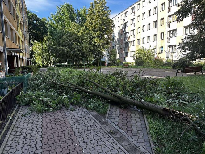Burze w Świętokrzyskiem - 23-24 czerwca 2025