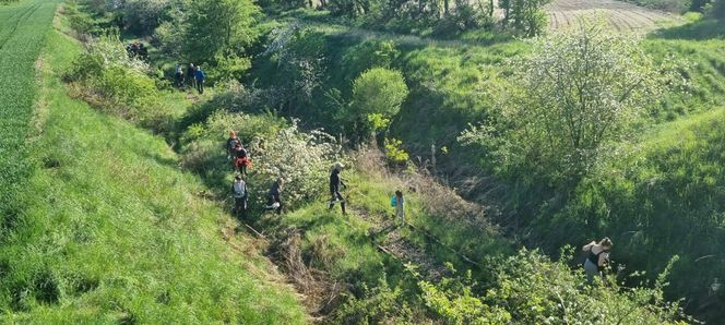 Ludzie sami wyrywają chaszcze na torach. Tak walczą o reaktywację linii kolejowej nr 241 z Tucholi do Koronowa