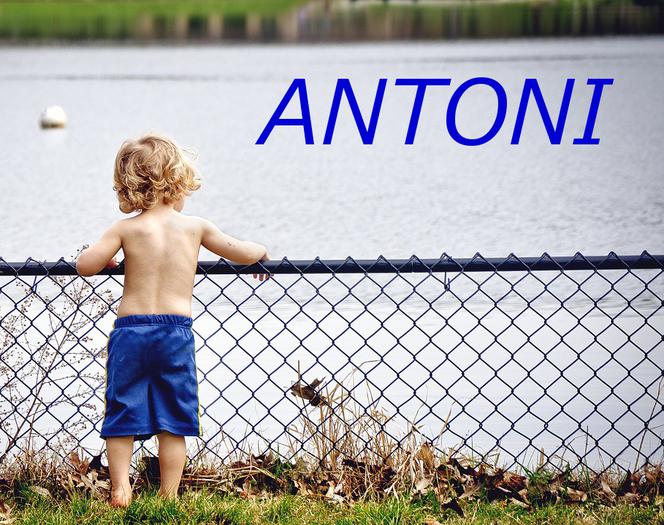 ANTONI