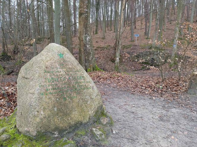 Głaz upamiętniający ruch esperantystów w Sopocie został oszpecony 