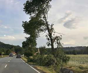 Dolnośląskie. Burze wyrządziły wiele szkód w regionie. Tak wyglądają okolice Jawora [ZDJĘCIA].
