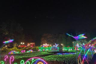 Park Miliona Świateł powraca! Zobacz, jak się prezentuje