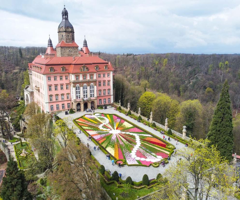 Festiwal Kwiatów 2025 w Wałbrzychu. Zamek Książ zamieni się w ogrodowy raj, lista atrakcji 