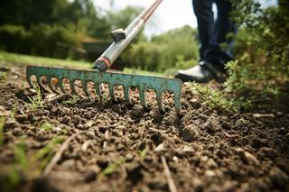 Grabie – narzędzie ogrodnicze potrzebne w każdym ogrodzie. Rodzaje grabi do prac ogrodowych