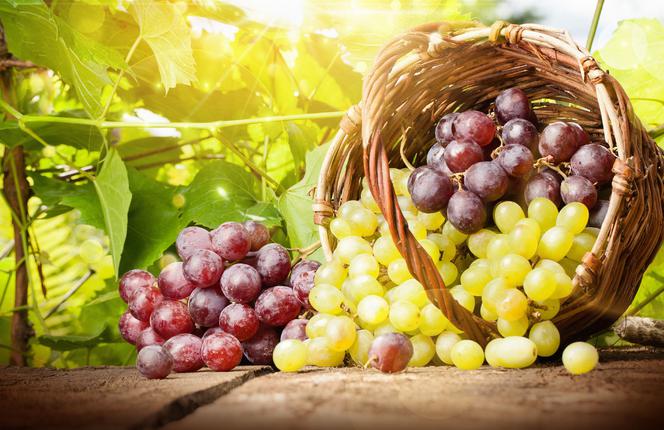 Winogrona - jakie mają wartości odżywcze i właściwości zdrowotne?