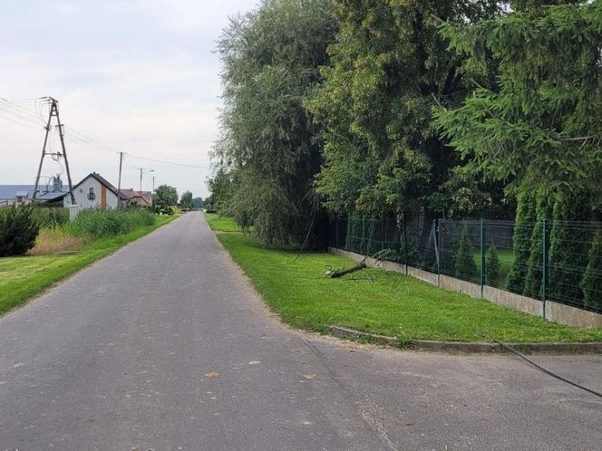 Skosił kombajnem… słupy telefoniczne. Policjanci z Gostynia ustalili sprawcę