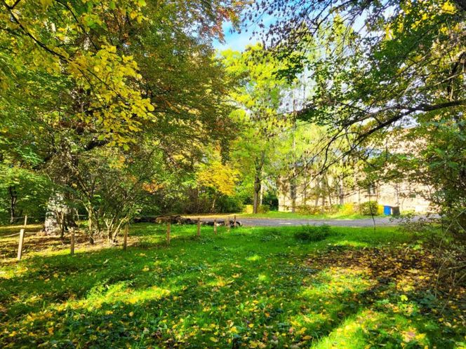 Park w Krakowie przejdzie spektakularną metamorfozę za miliony! Pokazali jak będzie wyglądać