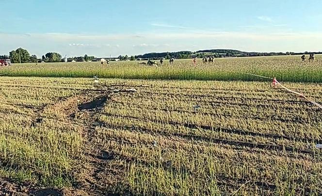 Katastrofa lotnicza w Rębielicach Królewskich obok Kłobucka