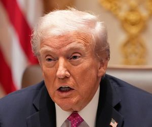 Donald Trump zostanie Niemcem?! Padła propozycja 