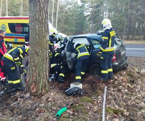 Wypadek na DK 10 w Solcu Kujawskim! Osobówka wypadła z drogi i uderzyła w drzewo [ZDJĘCIA]