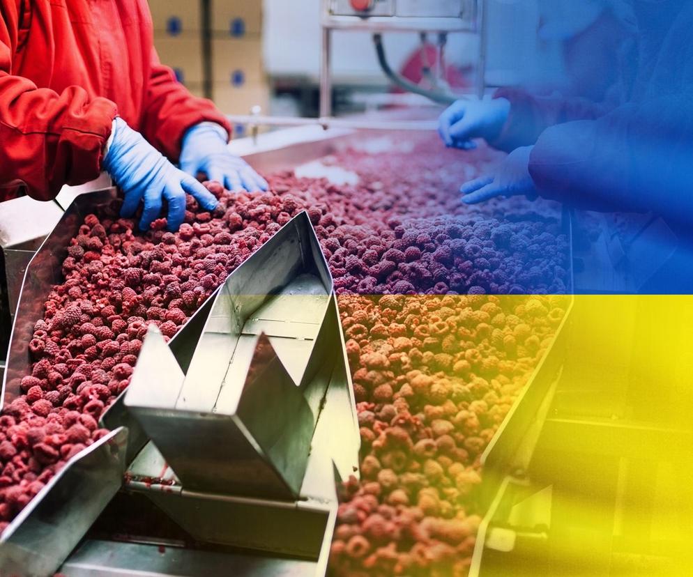Ukraińcy kupili polską fabrykę. Zwalniają wszystkich pracowników
