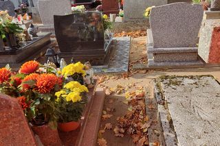 Wszystkich Świętych 2024 w Bydgoszczy i regionie