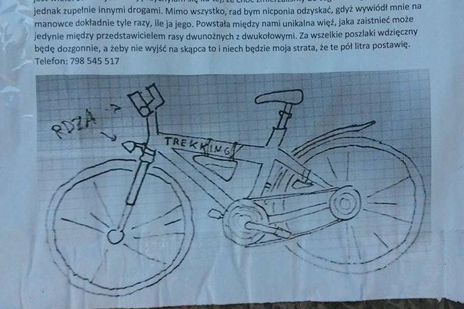 Rower – nicpoń zaginął