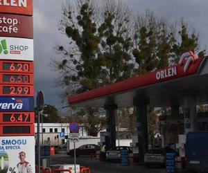 Ceny paliw w Toruniu i okolicy. Kierowcy płacą coraz więcej! Zobaczcie zdjęcia ze stacji