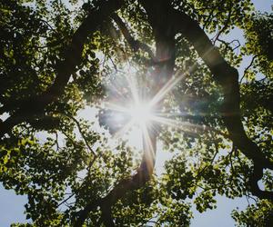 Upał powraca do Polski! Ta prognoza nie zostawia złudzeń