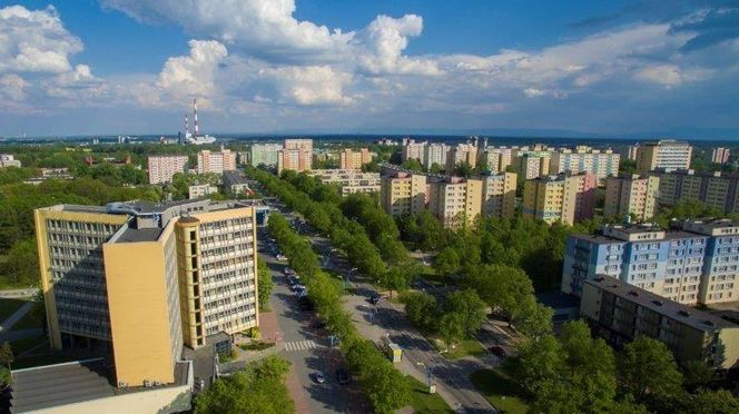 9. Tychy - ok. 80 Żabek