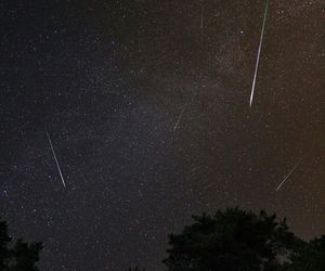 Noc spadających gwiazd 2025. Gdzie i kiedy obserwować Perseidy w Warszawie?