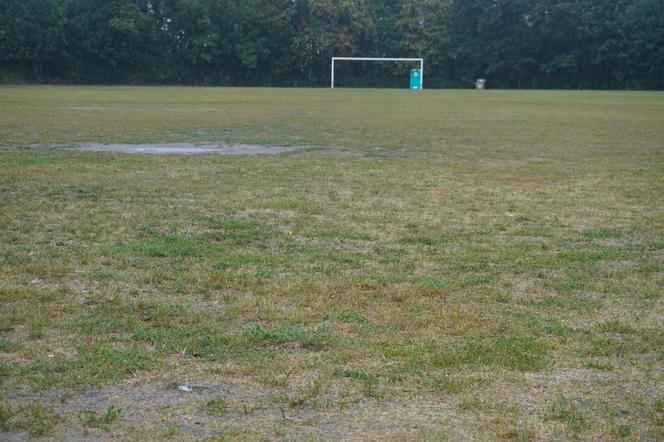 Zniszczona murawa na stadionie w Skarżysku