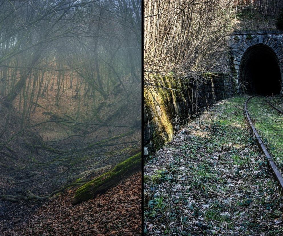 Tajemnica 65. kilometra. Niewyjaśniona historia Złotego Pociągu