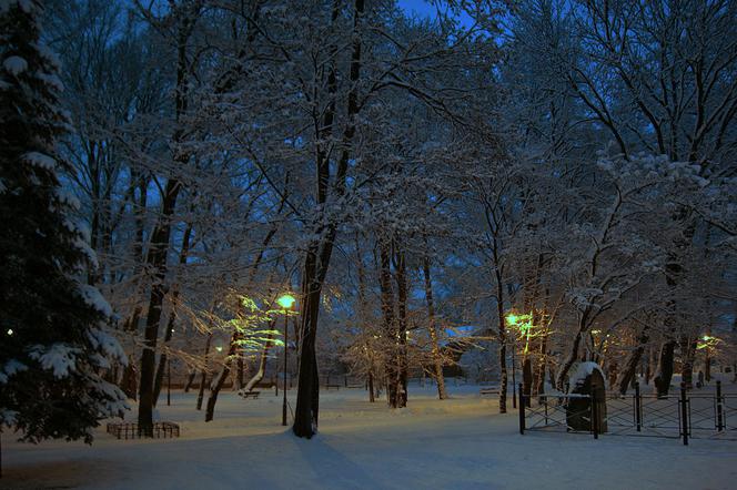 Kraków zimą