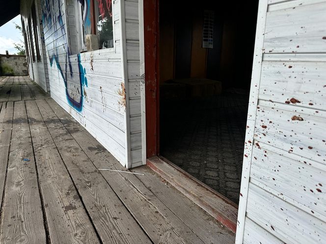 Rodzinny horror w dawnym tartaku