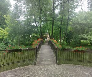 Zamek Dubiecko