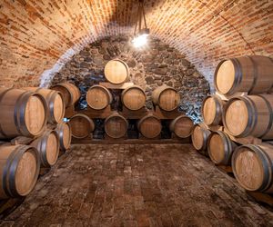 W podziemiach żagańskiego opactwa dojrzewają wina czerwone i musujące z Winnicy Saganum, ale znajduje się tu także Trakt Winny i Muzeum Winiarstwa, organizowane są pokazy i degustacje.