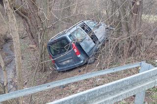 Lubaszowa. Kierujący citroenem wypadł z jezdni i wpadł do rowu