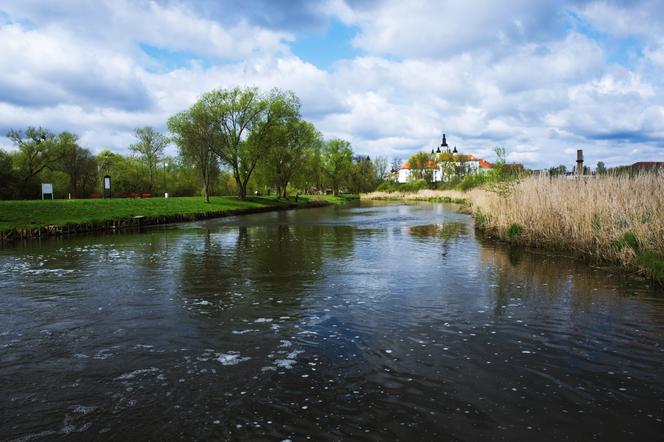 Kąpieliska na Podlasiu. Gdzie można bezpiecznie się kąpać? [LISTA]