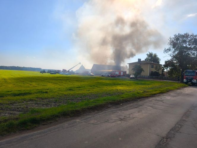 Ogromne straty po pożarze w zakładzie w Czeluścinie