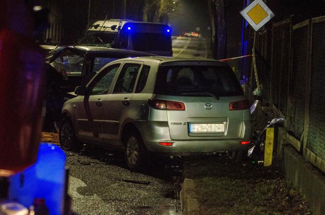 Śmiertelny wypadek w Nowogrodzie Bobrzańskim. Domniemany sprawca znaleziony półżywy w zaroślach [ZDJĘCIA]