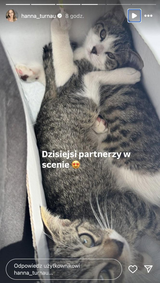 M jak miłość. Nowy dom Wernera (Jacek Kopczyński) i Sylwii (Hanna Turnau)