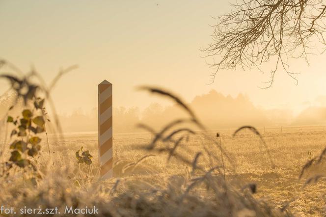 Grupa ponad 130 cudzoziemców chciała sforsować ogrodzenie na granicy polsko-białoruskiej