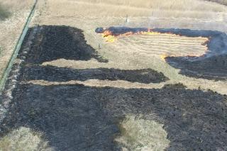 Wypalał trawę, namierzył go dron. 59-letni radomianin chciał oczyścić działkę [ZDJECIA]