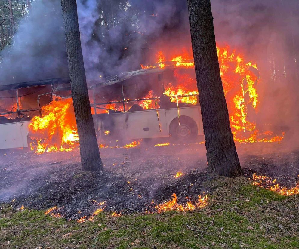 Pożar autobusu z przedszkolakami w Wielkopolsce! W pojeździe było 44 dzieci i 5 opiekunów