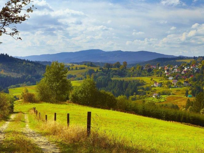 3. Istebna