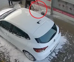 Umył psa na myjni samochodowej, teraz może trafić do więzienia. 45-latek usłyszał zarzut